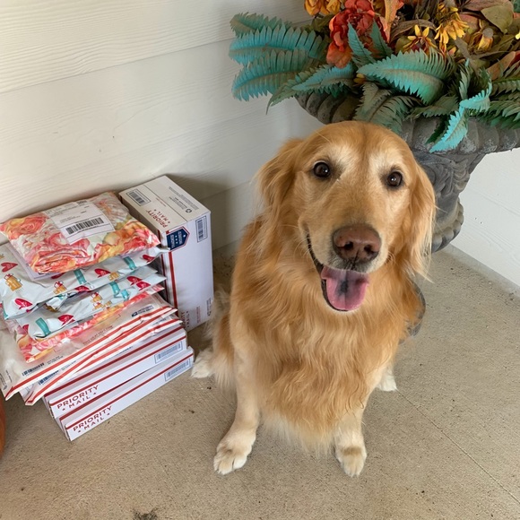 Meet your Posher, Ann - Picture 3 of 8